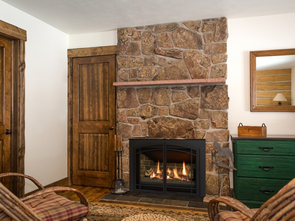 Chaska 335S Gas insert