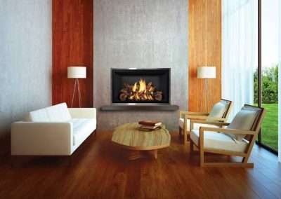 FV42 Direct Vent Fireplace