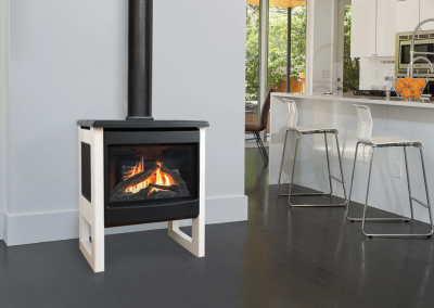 Madrona Direct Vent Stove